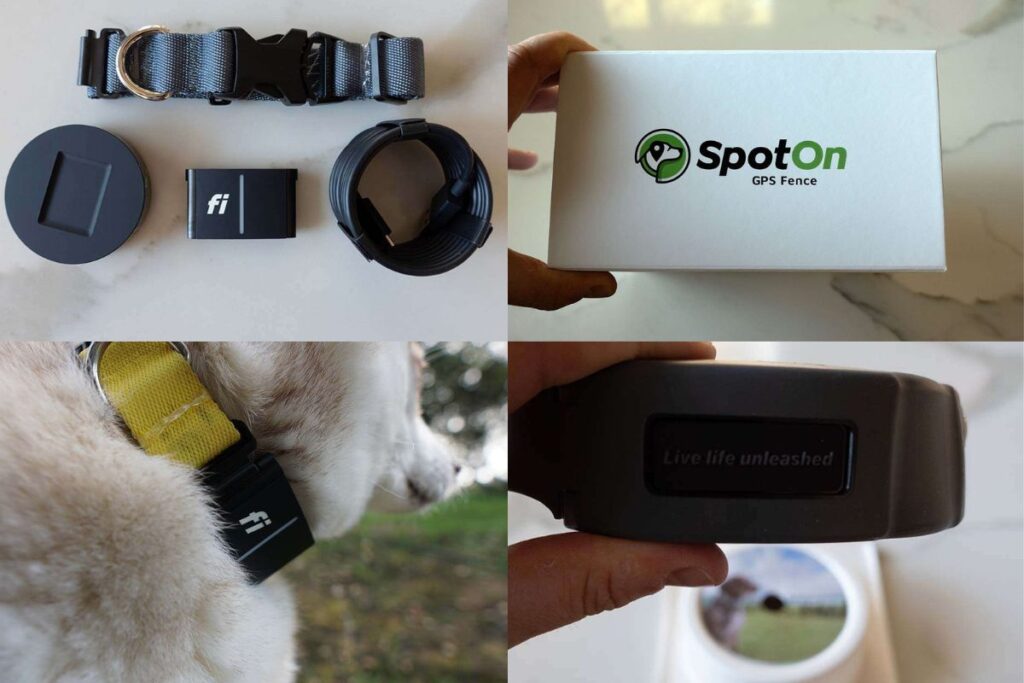 Fi Collar Vs SpotOn Review
