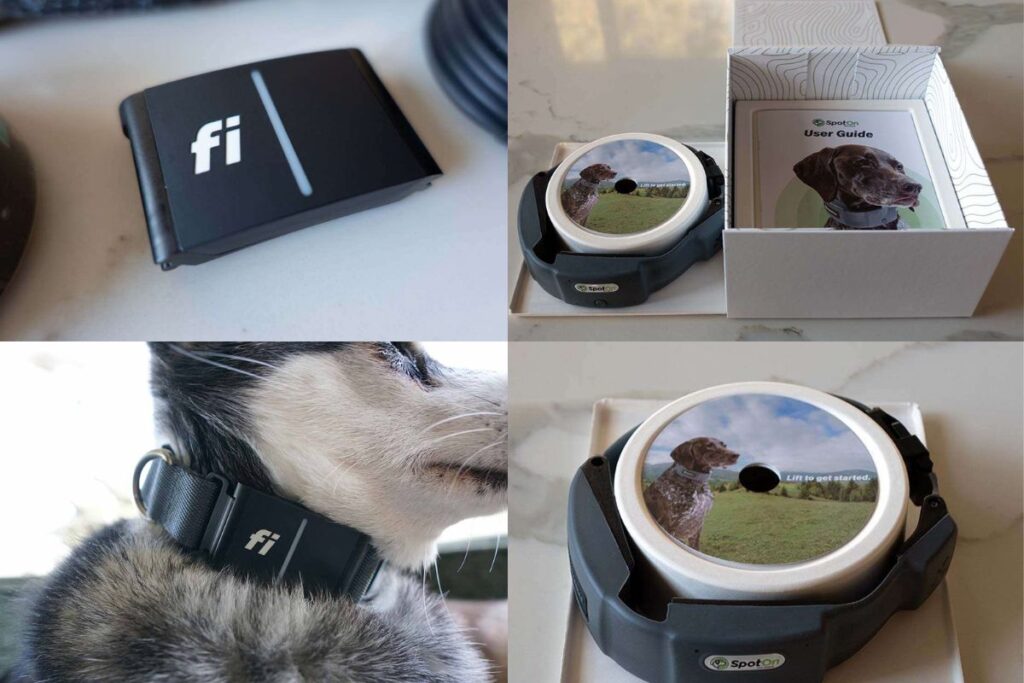 Fi Collar Vs SpotOn