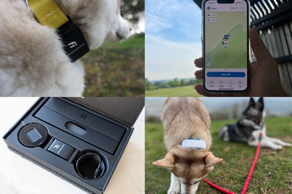 i Smart Dog Collar Vs Tractive Our Recommendation