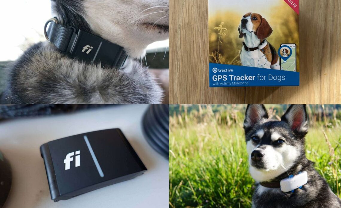 Fi Smart Dog Collar Vs Tractive What's The Difference
