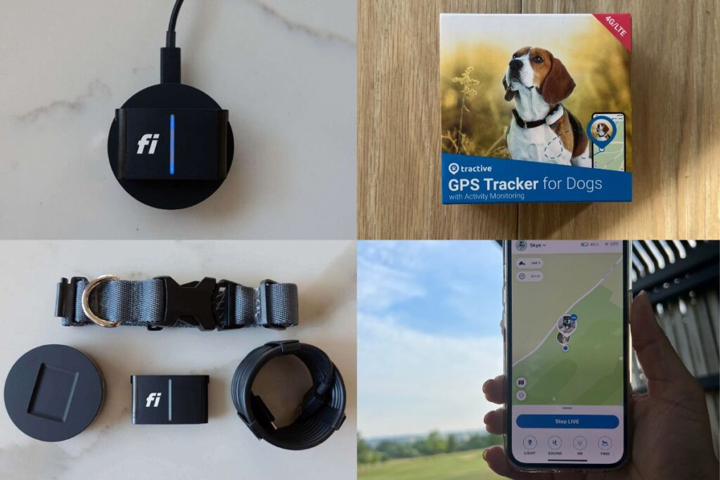 Fi Smart Dog Collar Vs Tractive