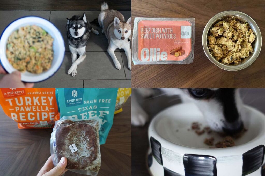 Fresh Dog Food For Sensitive Stomachs