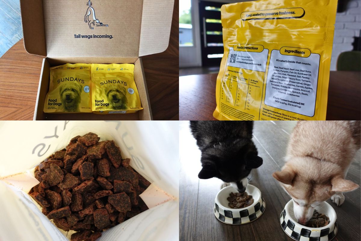 Is Sundays For Dogs worth it