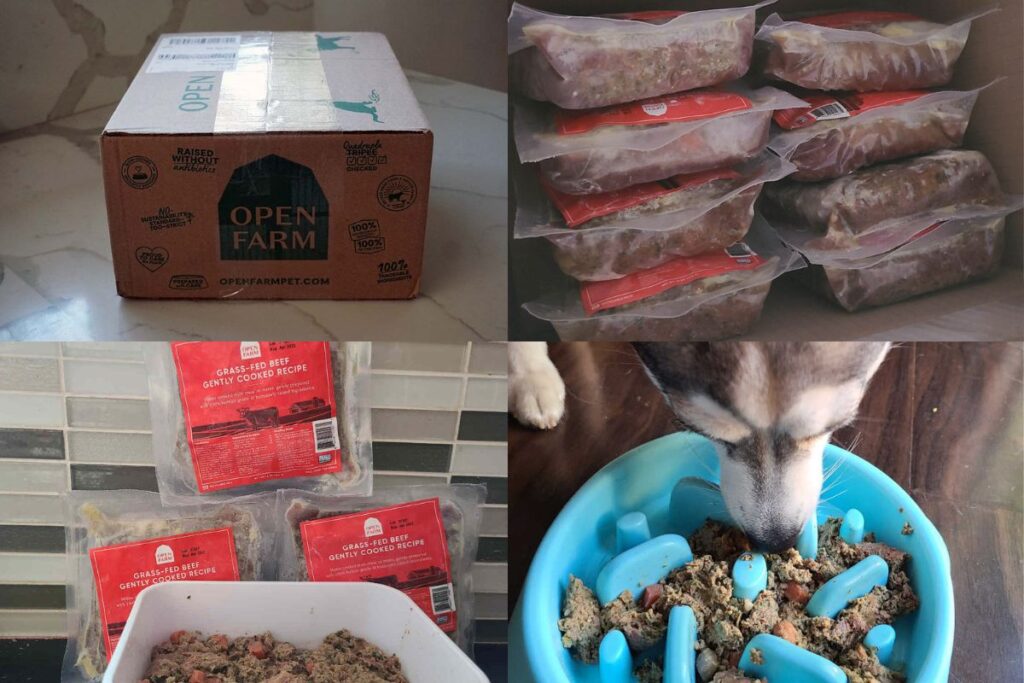 Open Farm fresh dog food