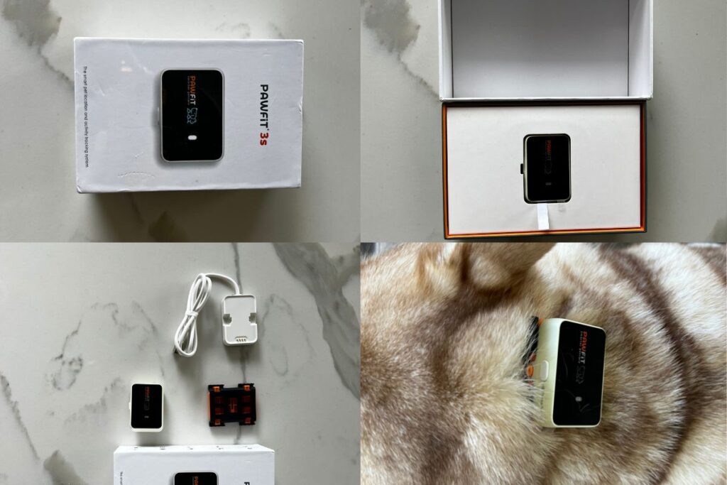 Pawfit 3 smart dog tracker