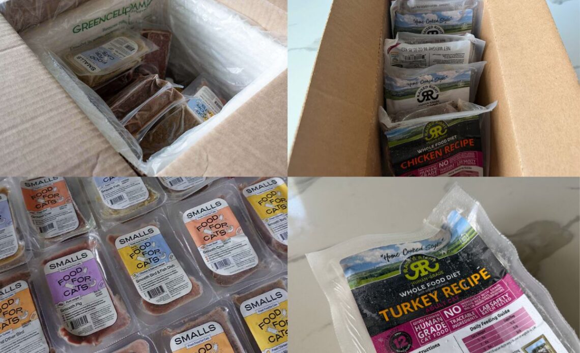 Smalls Cat Food Vs Raised Right