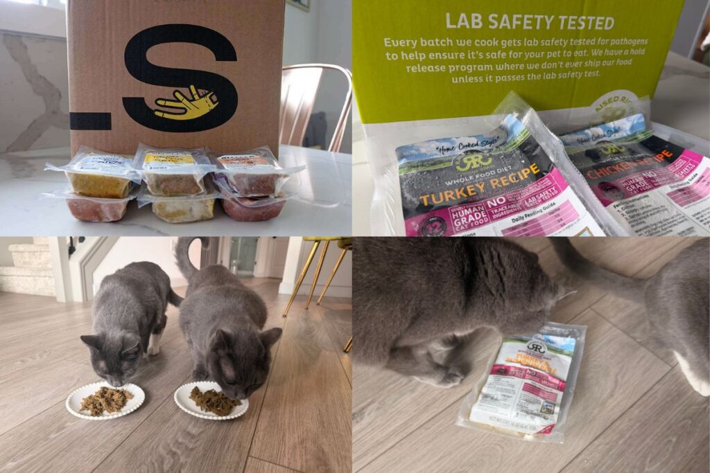 Smalls Cat Food Vs Raised Right Our Recommendation