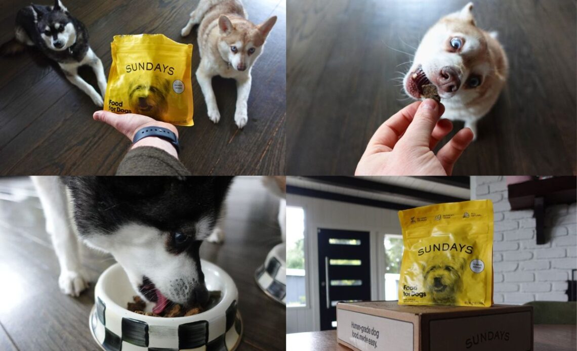 Sundays Food For Dogs Price