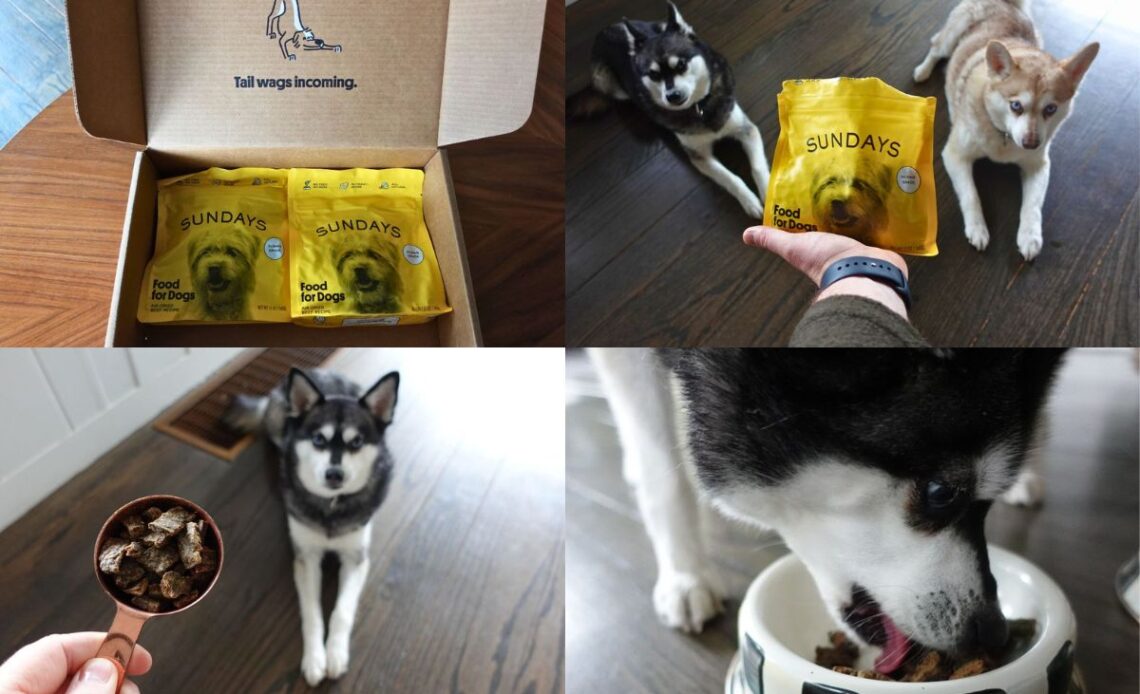 Sundays Food For Dogs Pros And Cons