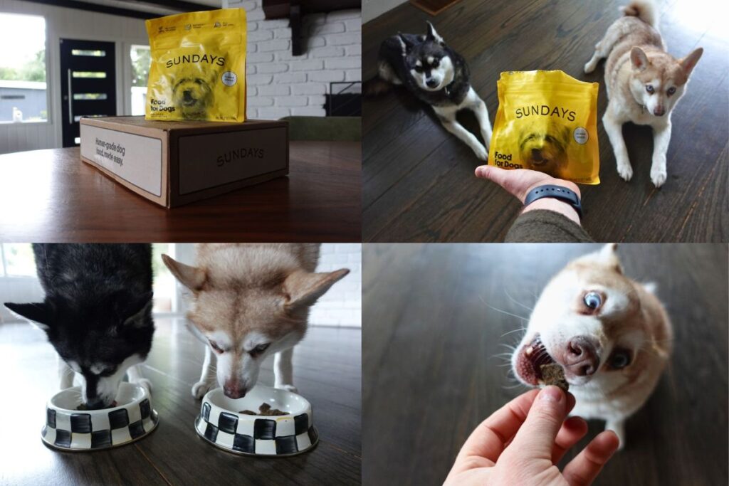 Sundays For Dogs Air-Dried Food