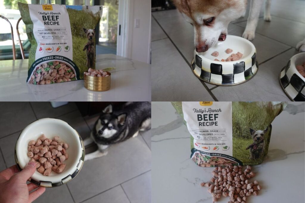 Tally's Ranch freeze-dried raw food