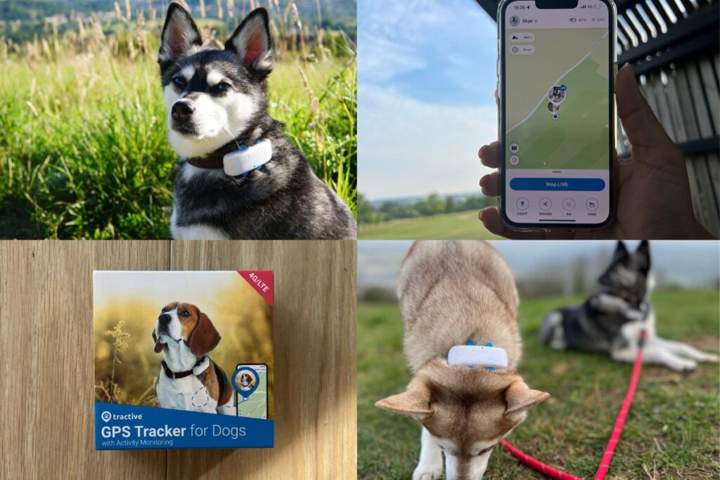 Tractive smart dog collar