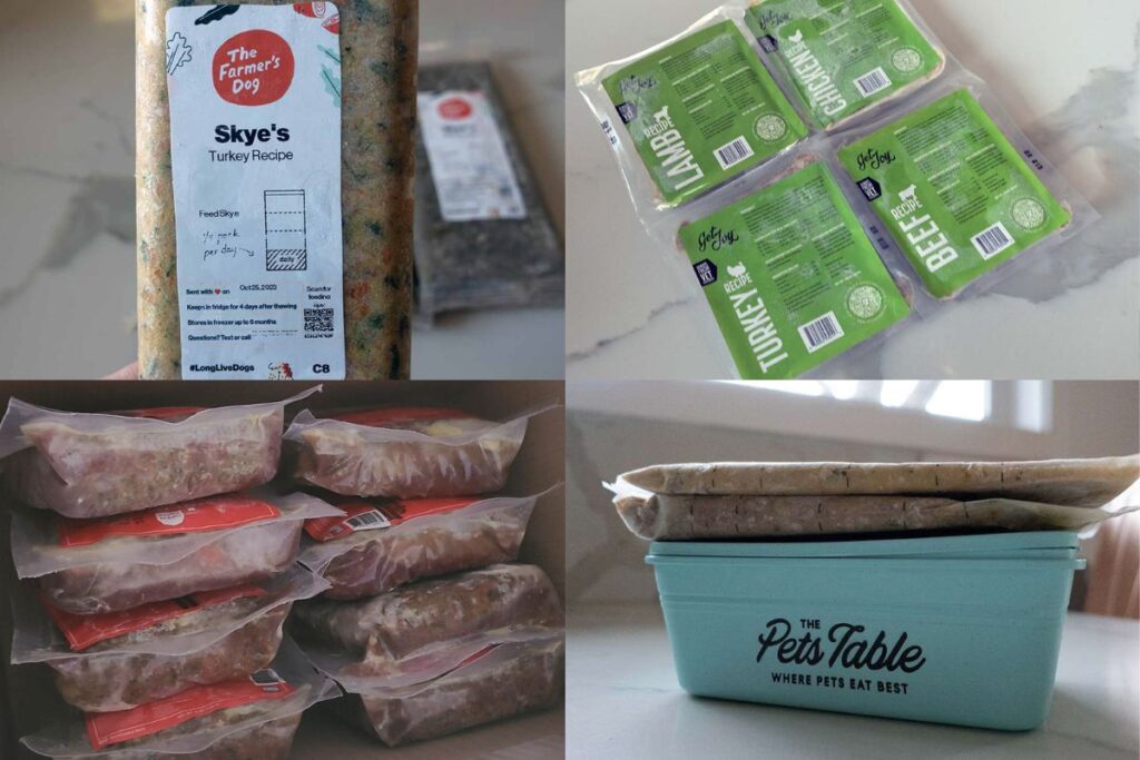 Ultimate Guide to Best Fresh Dog Food For Sensitive Stomachs