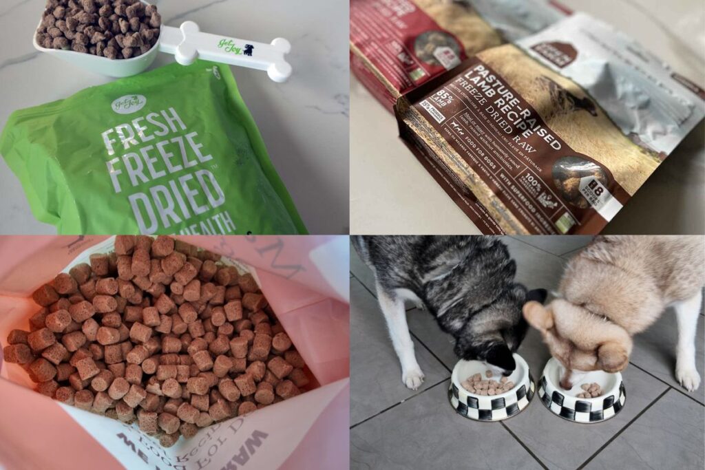 Ultimate guide to freeze-dried raw food