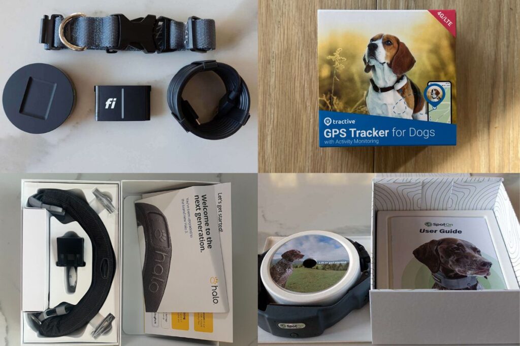 Ultimate smart dog collar breakdown