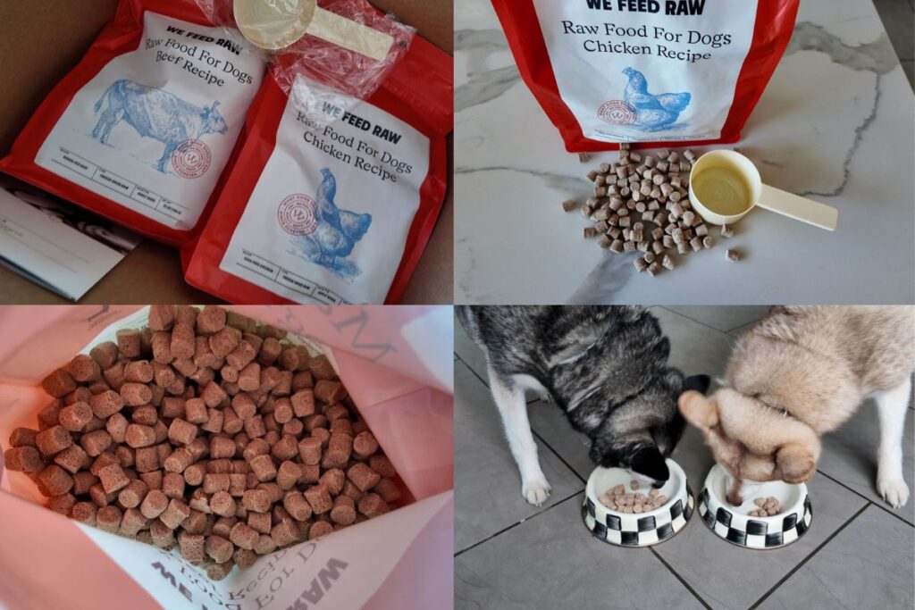 We Feed Raw freeze-dried raw food