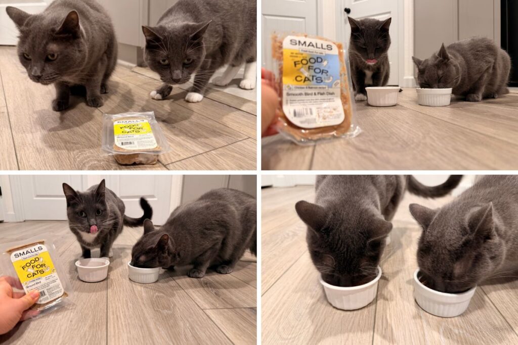 Smalls Cat Food Pros & Cons