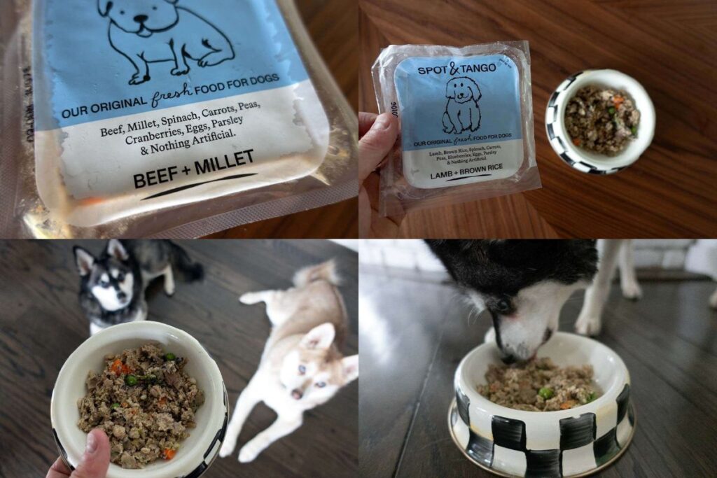 Spot and Tango Honest Review and Results