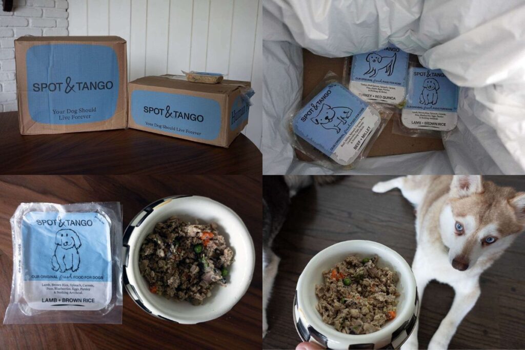 Spot and Tango Pros And Cons