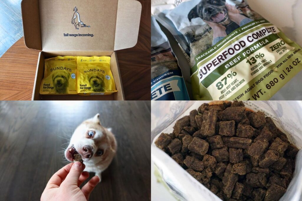 Sundays For Dogs Vs Badlands Ranch Our Verdict