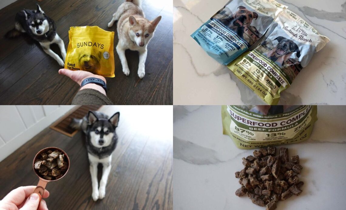 Sundays For Dogs Vs Badlands Ranch What's The Difference