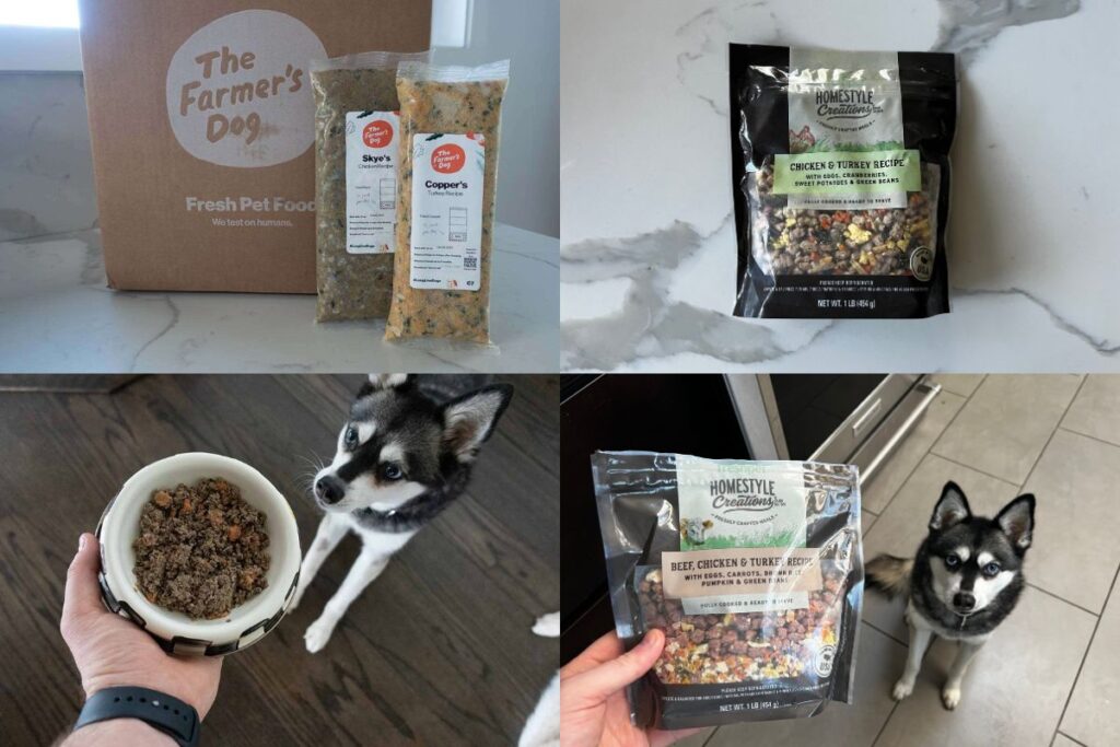 The Farmer's Dog vs Freshpet Our Verdict