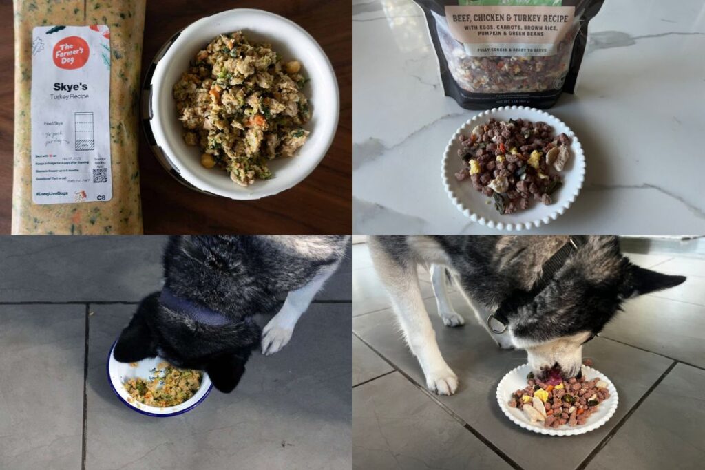 The Farmer's Dog vs Freshpet Wrapping U