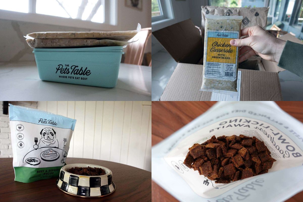 The Pets Table Pros And Cons Honest Review