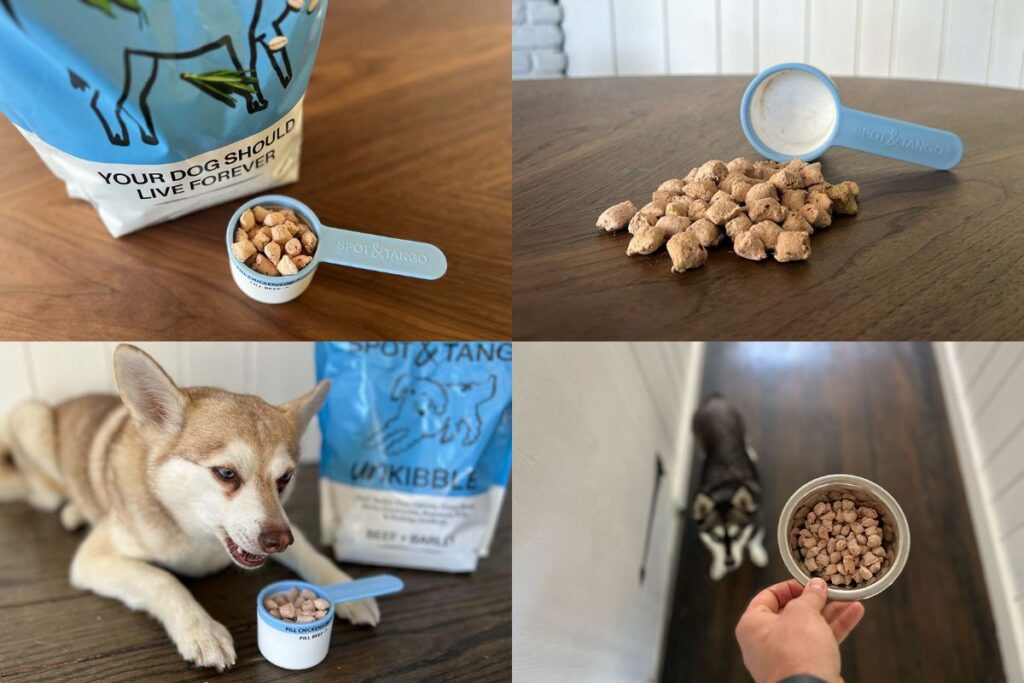 UnKibble Honest Review And Results