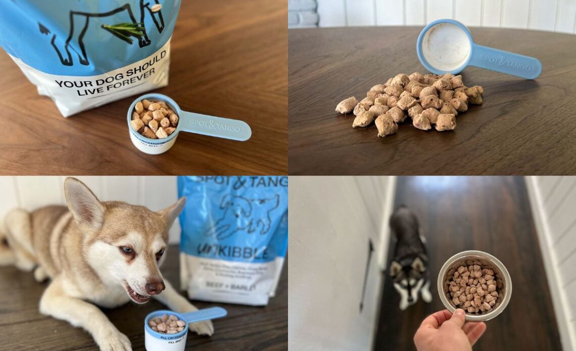 UnKibble Honest Review And Results