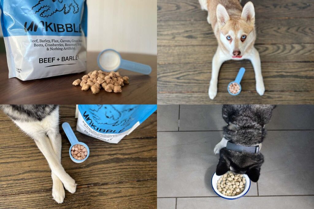 UnKibble Pros And Cons My Honest Review