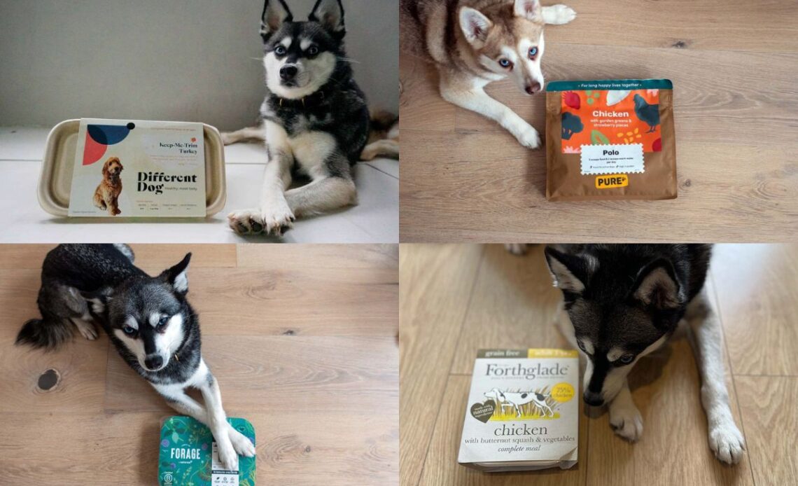 Best Butternut Box Alternatives