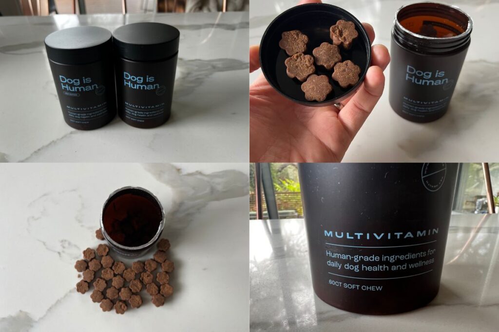 Dog Is Human Pros and Cons