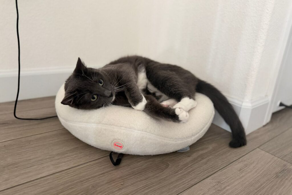Marco on the Knead bed