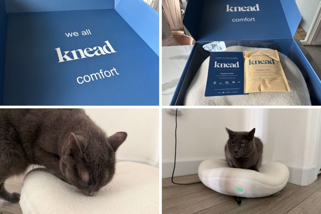 Knead Cat Bed Review