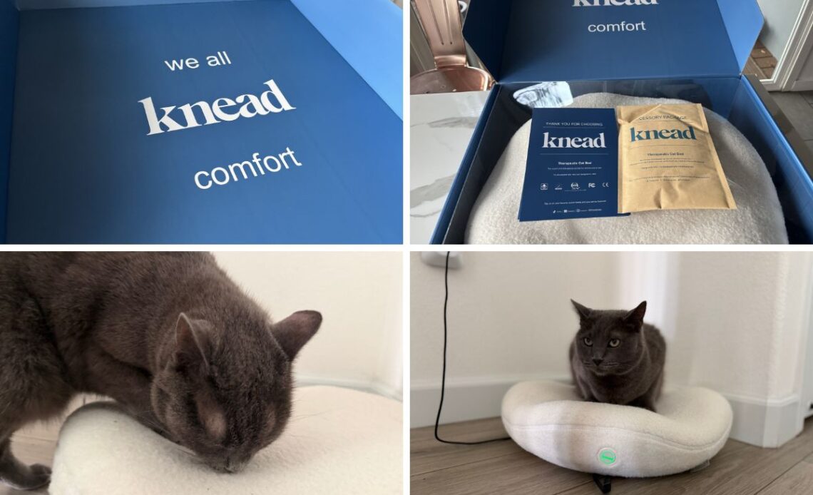 Knead Cat Bed Review