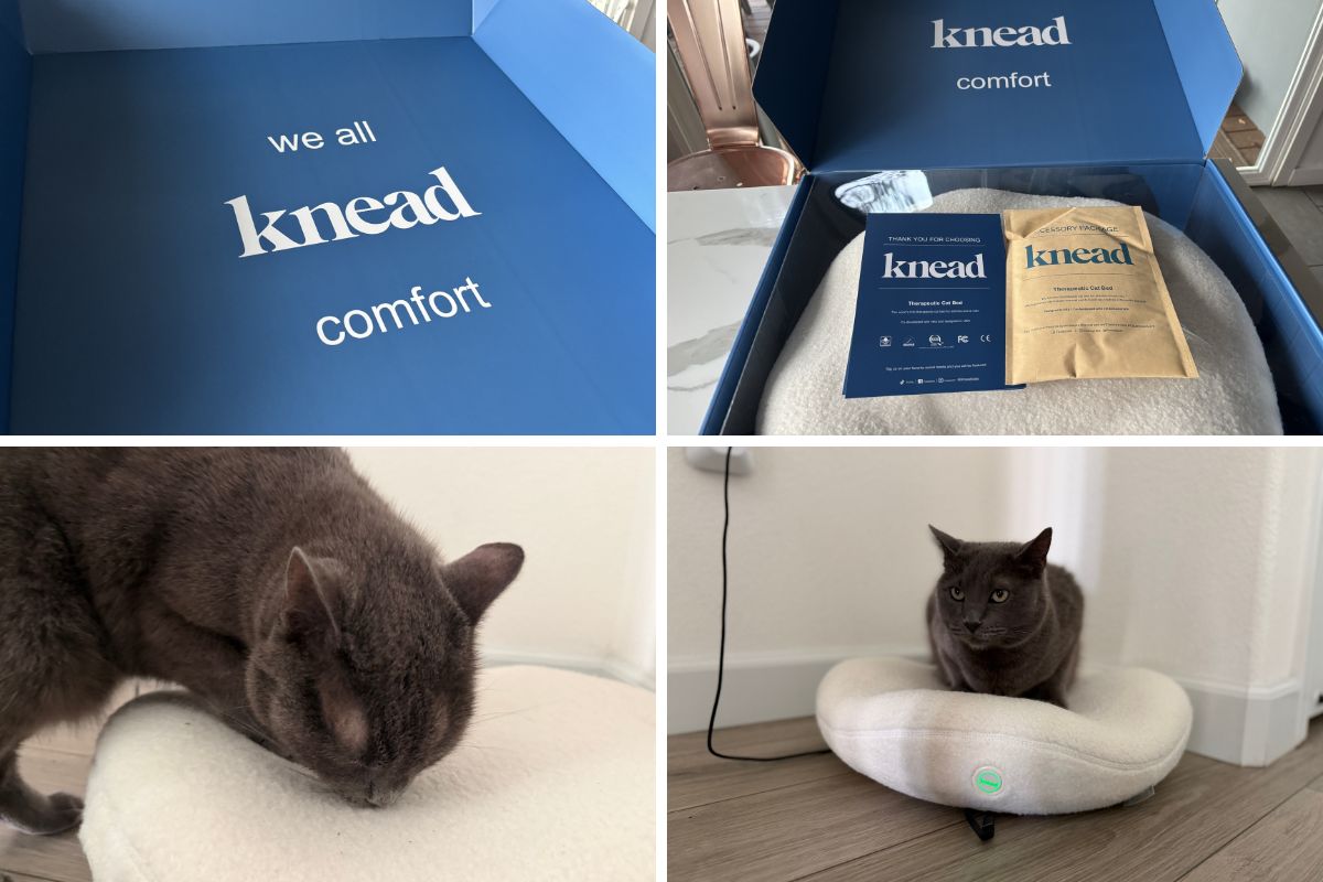 Knead Cat Bed Review