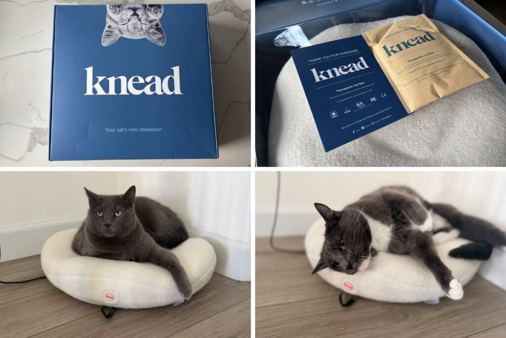 Knead Cat Bed Review Pros and Cons