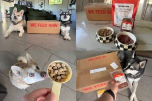 Copper and Skye with their We Feed Raw recipes