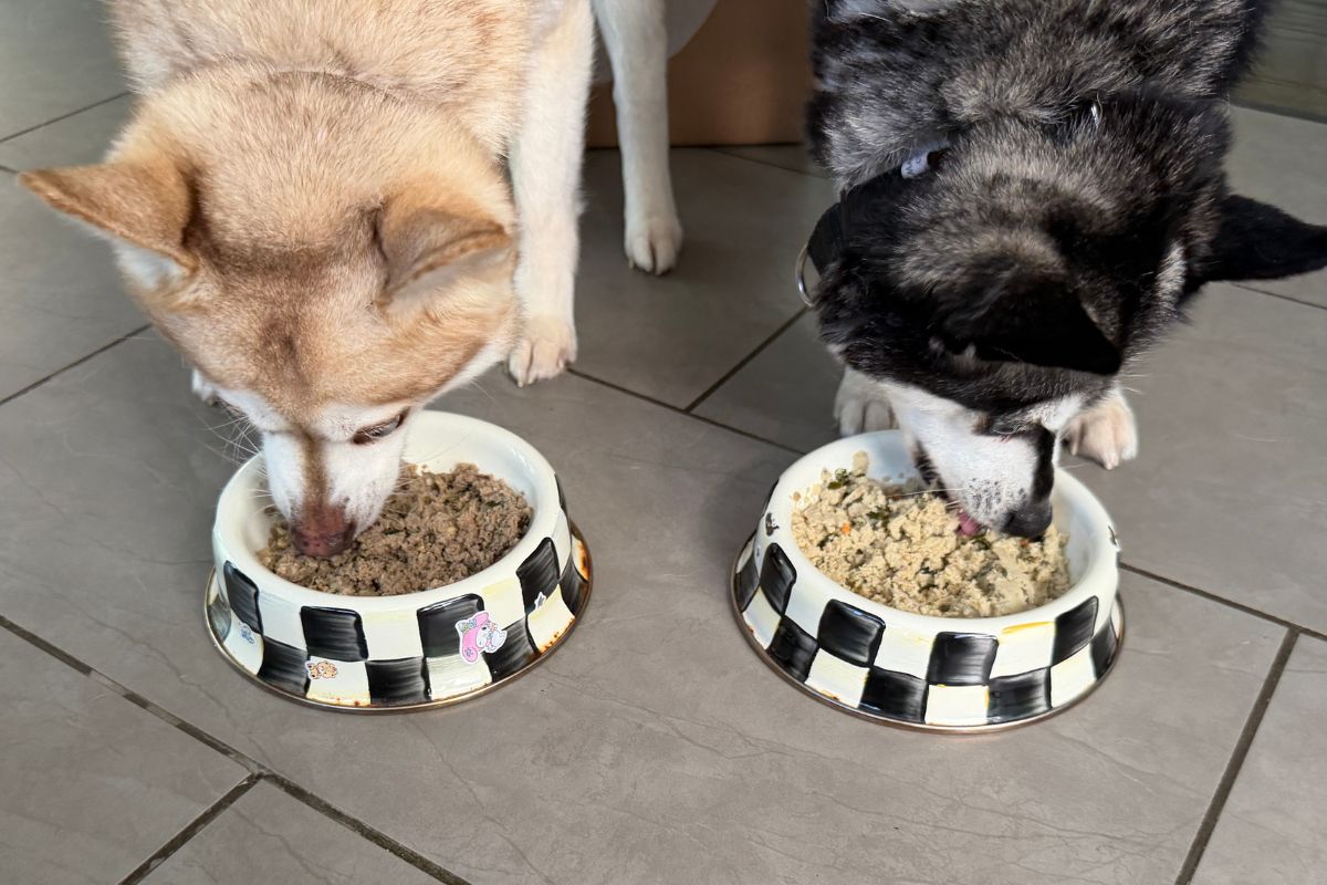 The Farmer's Dog Food