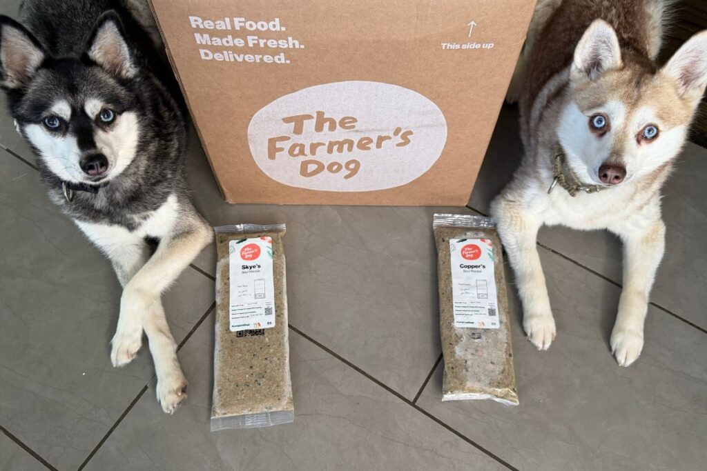 Copper and Skye sitting with The Farmer’s Dog meal pouches in April 2026