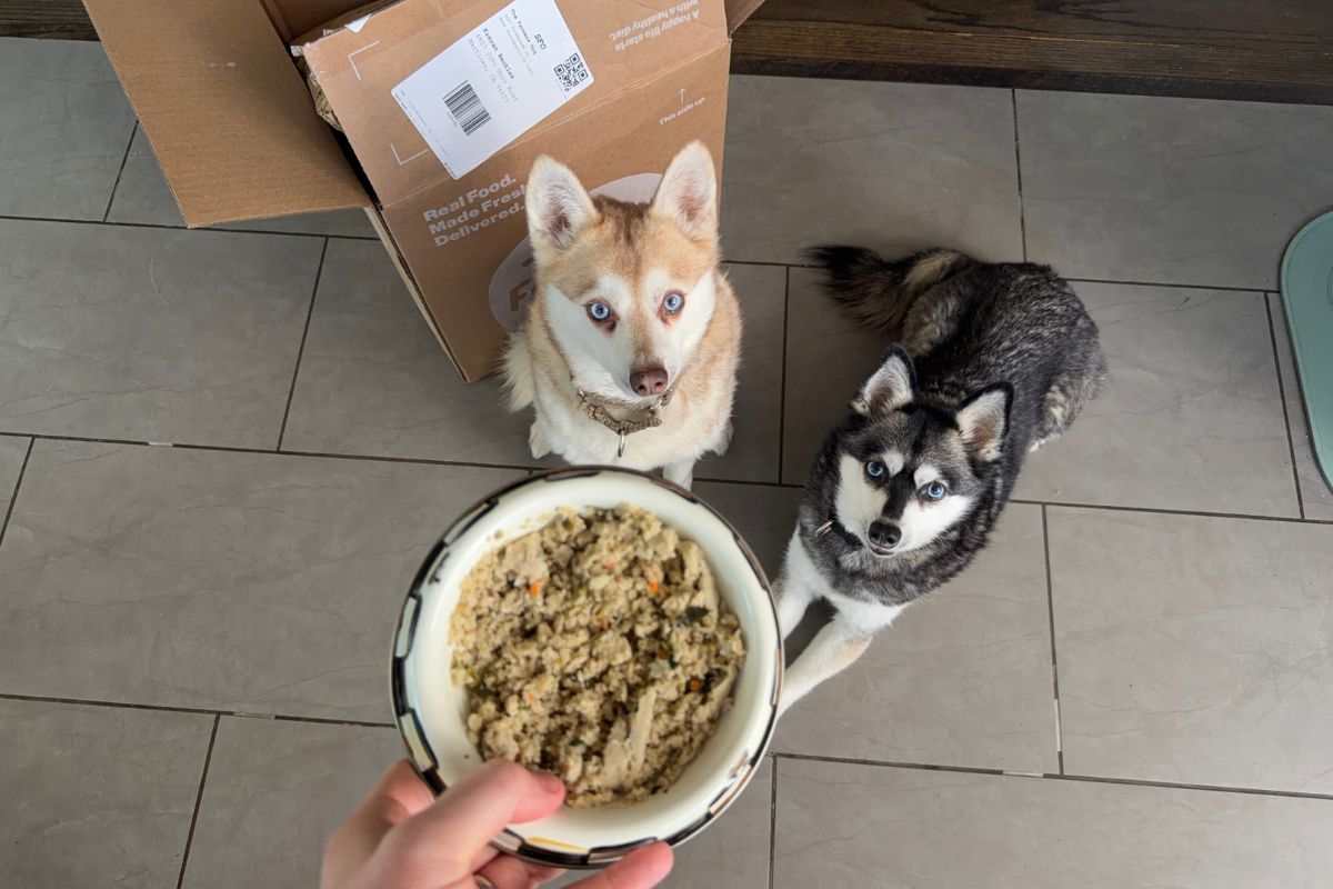 The Farmer's Dog Food