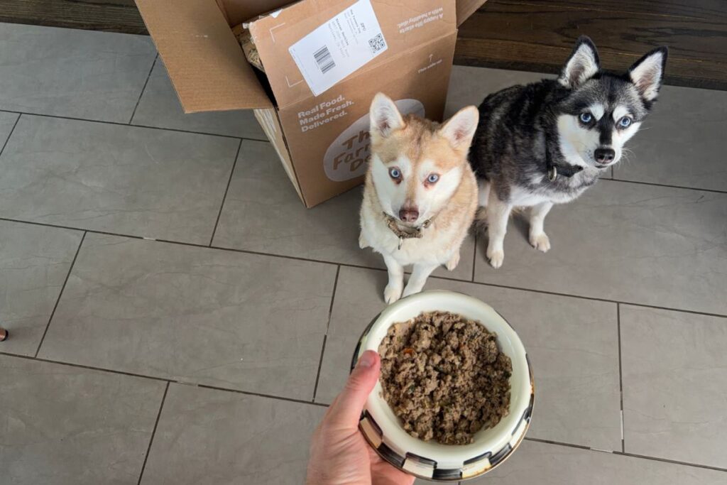 Copper and Skye waiting for The Farmer’s Dog fresh dog food in April 2026
