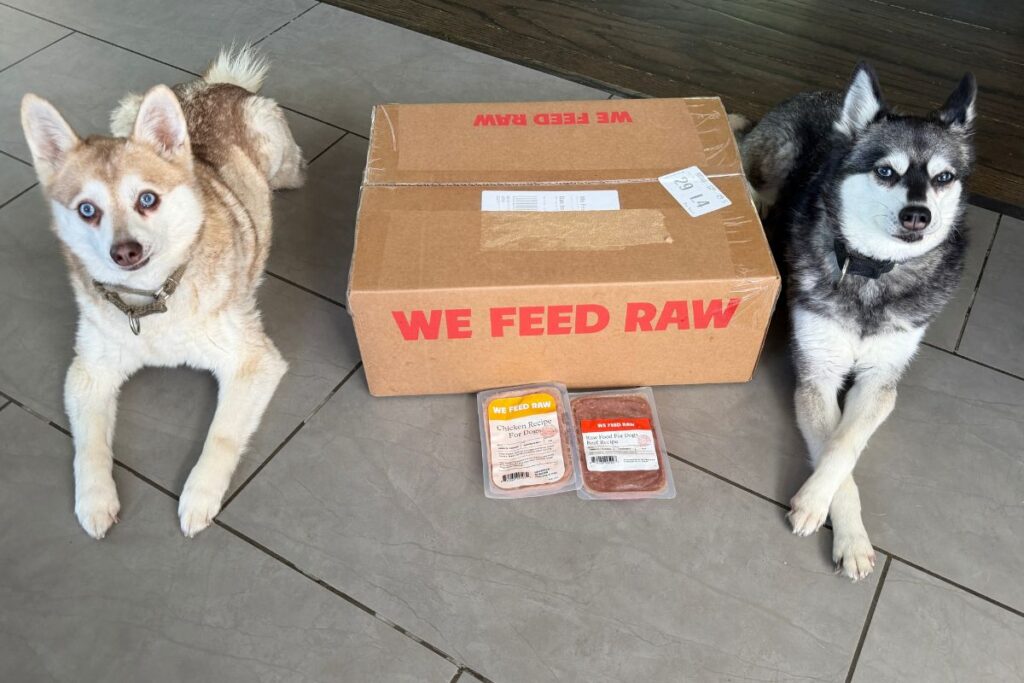 Copper and Skye sat next to their We Feed Raw delivery in April 2026