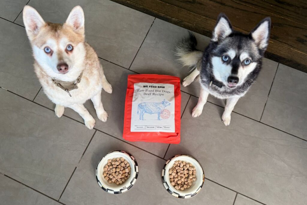 Copper and Skye wait for We Feed Raw freeze-dried food in April 2026