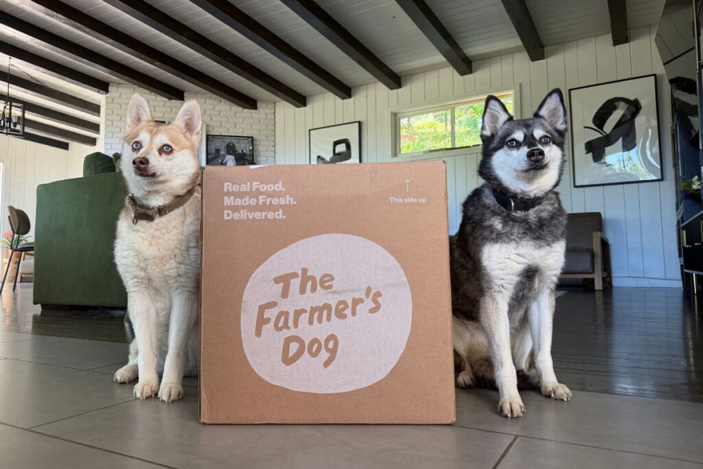 Copper and Skye sit next to The Farmer's Dog box in April 2026
