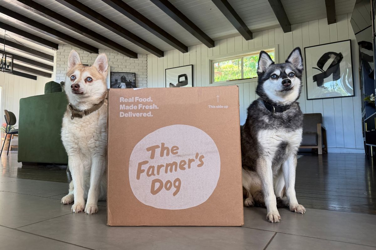 The Farmer's Dog Food