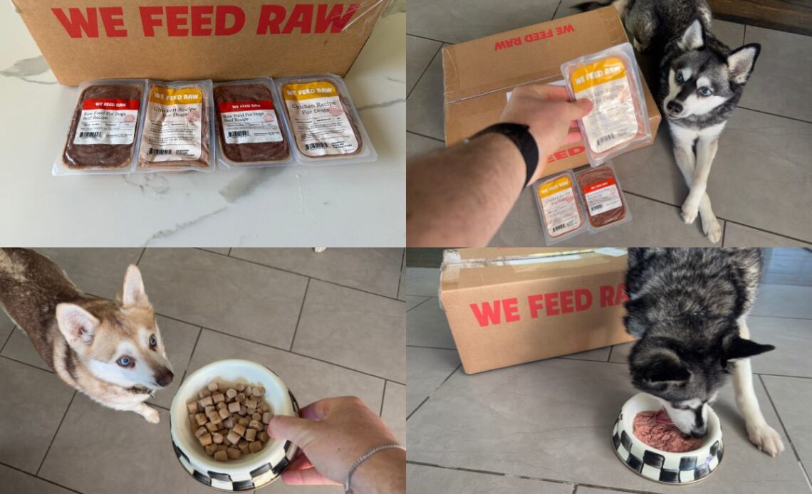 How Much Is We Feed Raw Dog Food in 2026 Real Cost And Is It Worth It