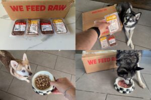 How Much Is We Feed Raw Dog Food in 2026 Real Cost And Is It Worth It