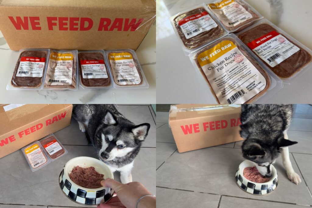 Skye and her favorite We Feed Raw recipes in April 2026